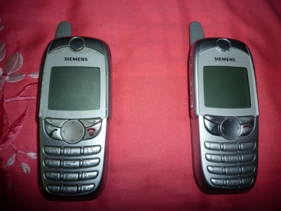 P1000465_С.JPG