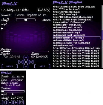 PlayEX SL91.JPG