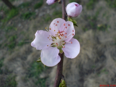20100330_90357c79f6600e8ca121NeYeE6Q0x01c.jpg