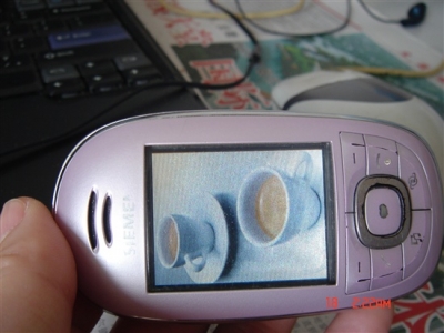 DSC00231_.jpg