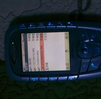 20100129729.jpg