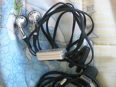 SBSC0053.jpg