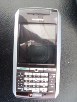 SL383691.JPG