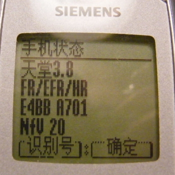 13.JPG
