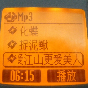 mp303.JPG