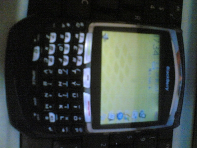 20100227.jpg