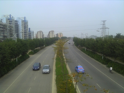 2010-03-04 09.47.jpg