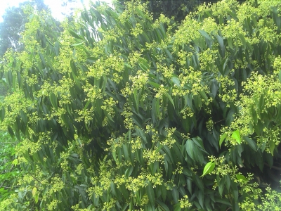 2010-03-04 10.23.jpg
