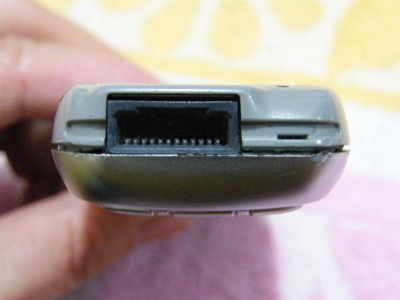 SL4206.JPG