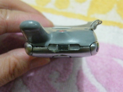 SL4207.JPG