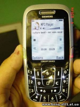 8091280.jpg
