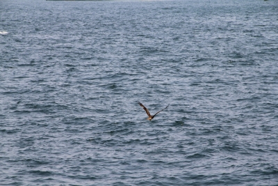 IMG_1647.JPG
