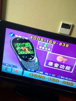 20100611310.jpg