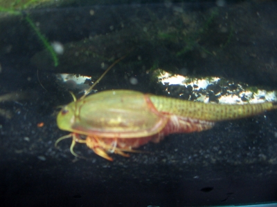 IMG_2728.jpg