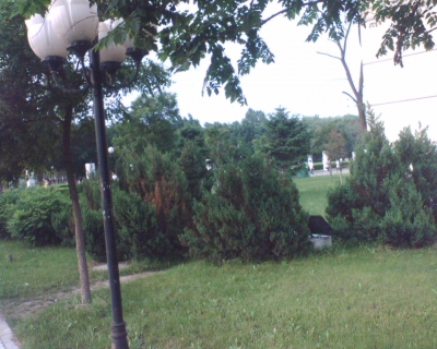 img222.jpg