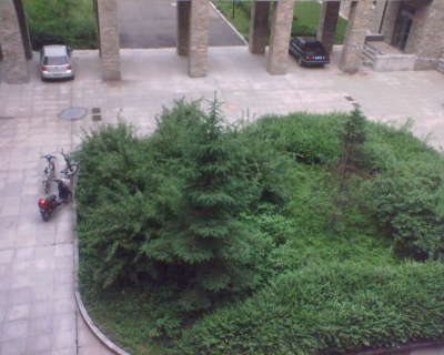 img081.jpg