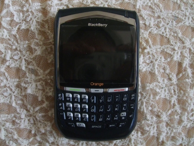 S5005835gai.JPG