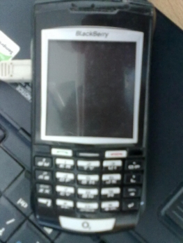 20100623074.jpg