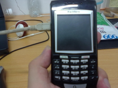 20100623071.jpg