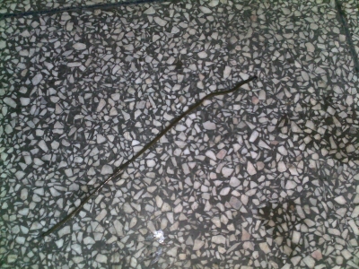 20100626208.jpg