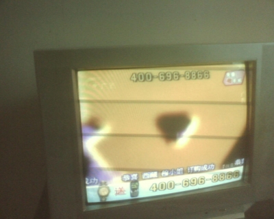 2010629018.jpg