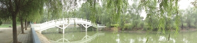 DSC00090.jpg