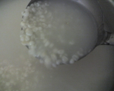 img329.jpg