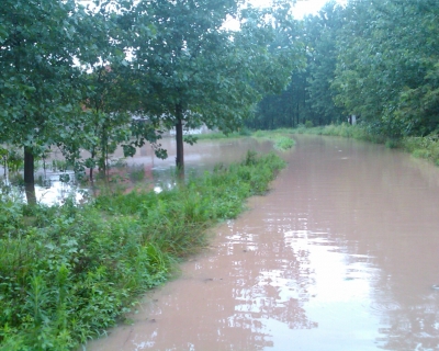 Image_00096.jpg