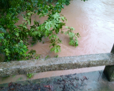 Image_00103.jpg