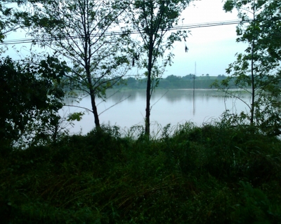 Image_00106.jpg