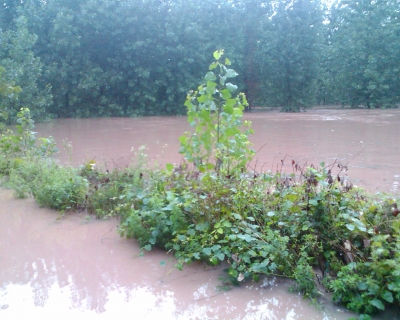 Image_00098.jpg