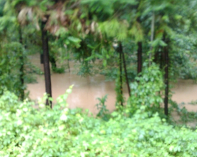 Image_00099.jpg