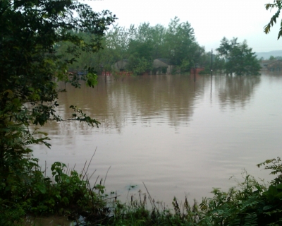 Image_00107.jpg