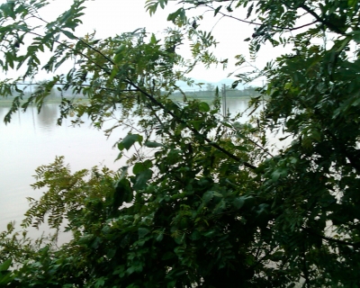 Image_00108.jpg