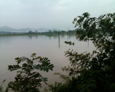 Image_00109.jpg