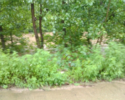 Image_00110.jpg