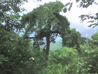 img133.jpg