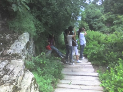 img135.jpg