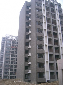 CIMG0523.JPG