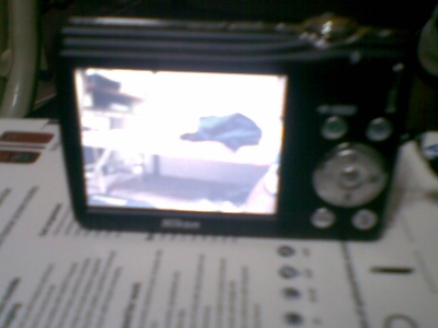20100906(001).jpg