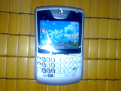 20100921007.jpg