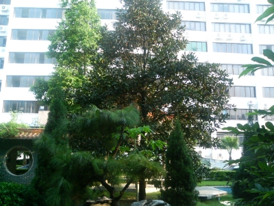 20050902_902t_03b.JPG
