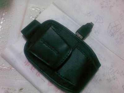 201009091238.jpg