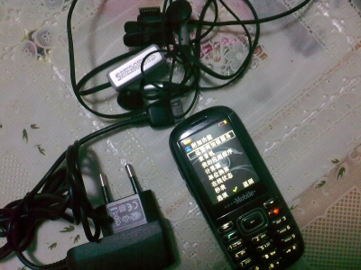 201009291271.jpg