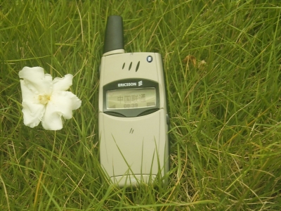 _SDI4066.JPG