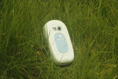 _SDI4084.JPG