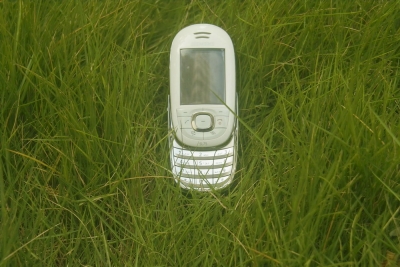 _SDI4079.JPG