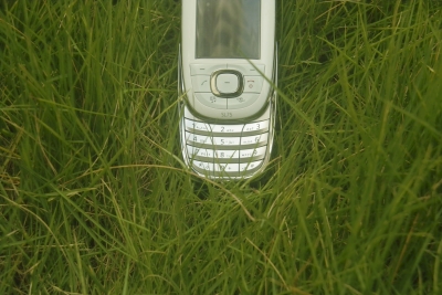_SDI4080.JPG