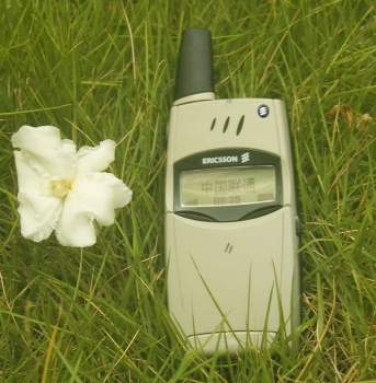 _SDI4066.JPG