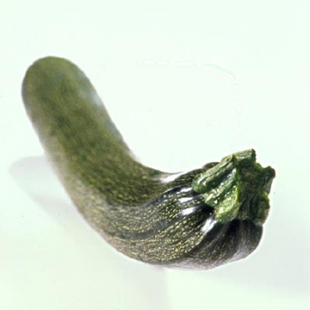 ƹ.jpg